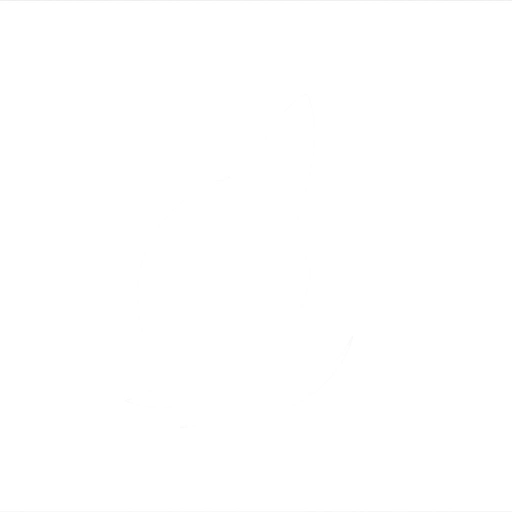 Space Force Missions logo